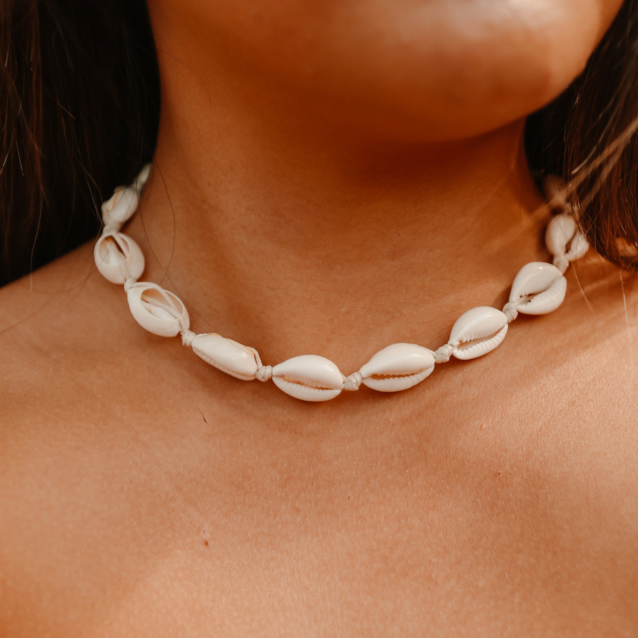 Puka Shell Choker Shells For Necklaces Natural High Grade Hawaiian