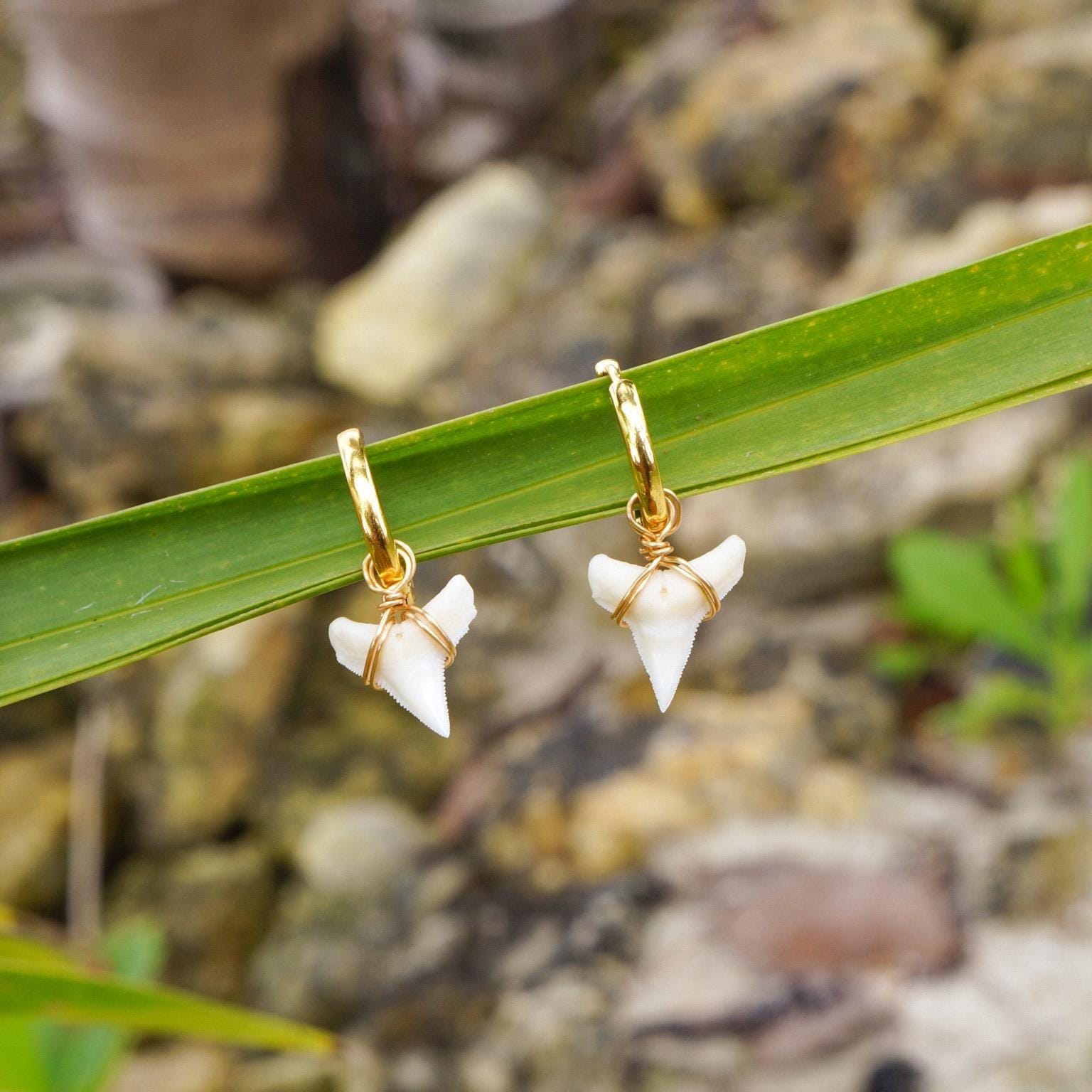 Natural Tiger Shark Teeth Earrings