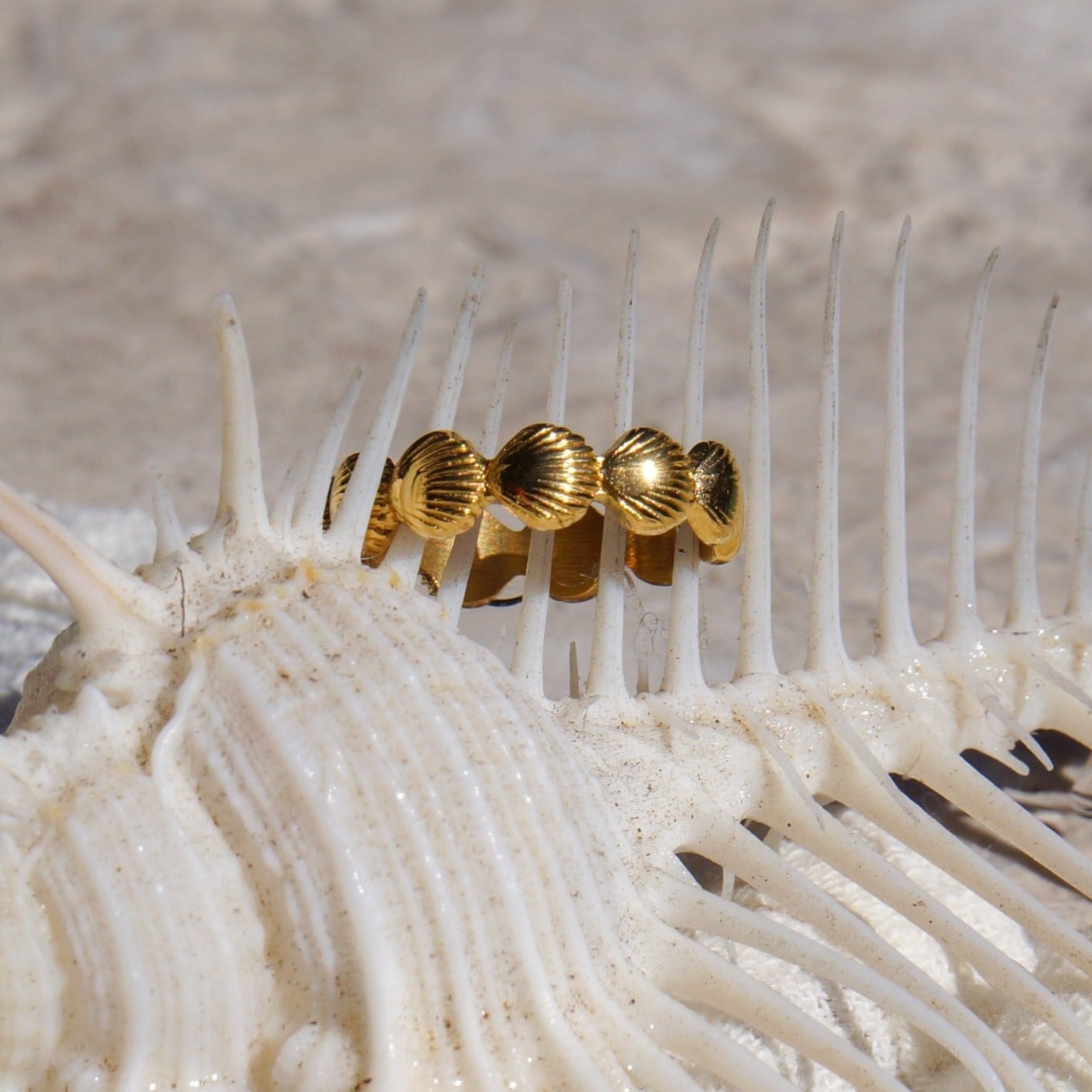 Oahu Seashell Stacking Ring