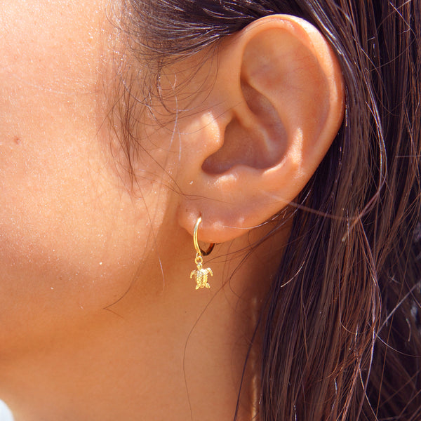 Gold Vermeil Sea Turtle Huggie Hoops