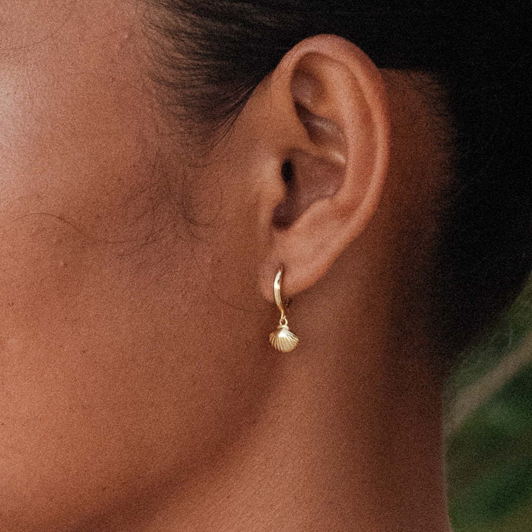 Alona Seashell Huggies