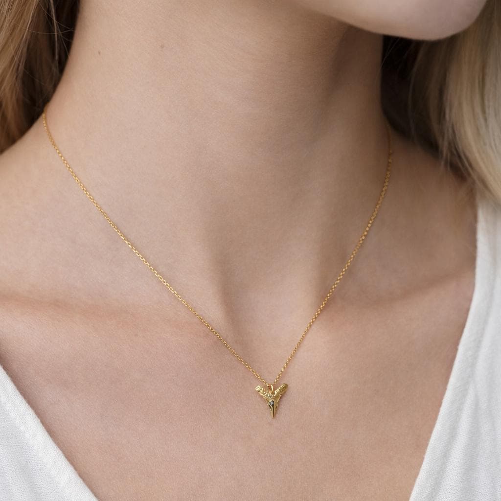 Gold Vermeil Shark Tooth Necklace, Sterling Silver Chain
