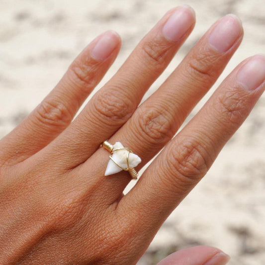 Wire wrapped natural shark tooth ring worn on a hand