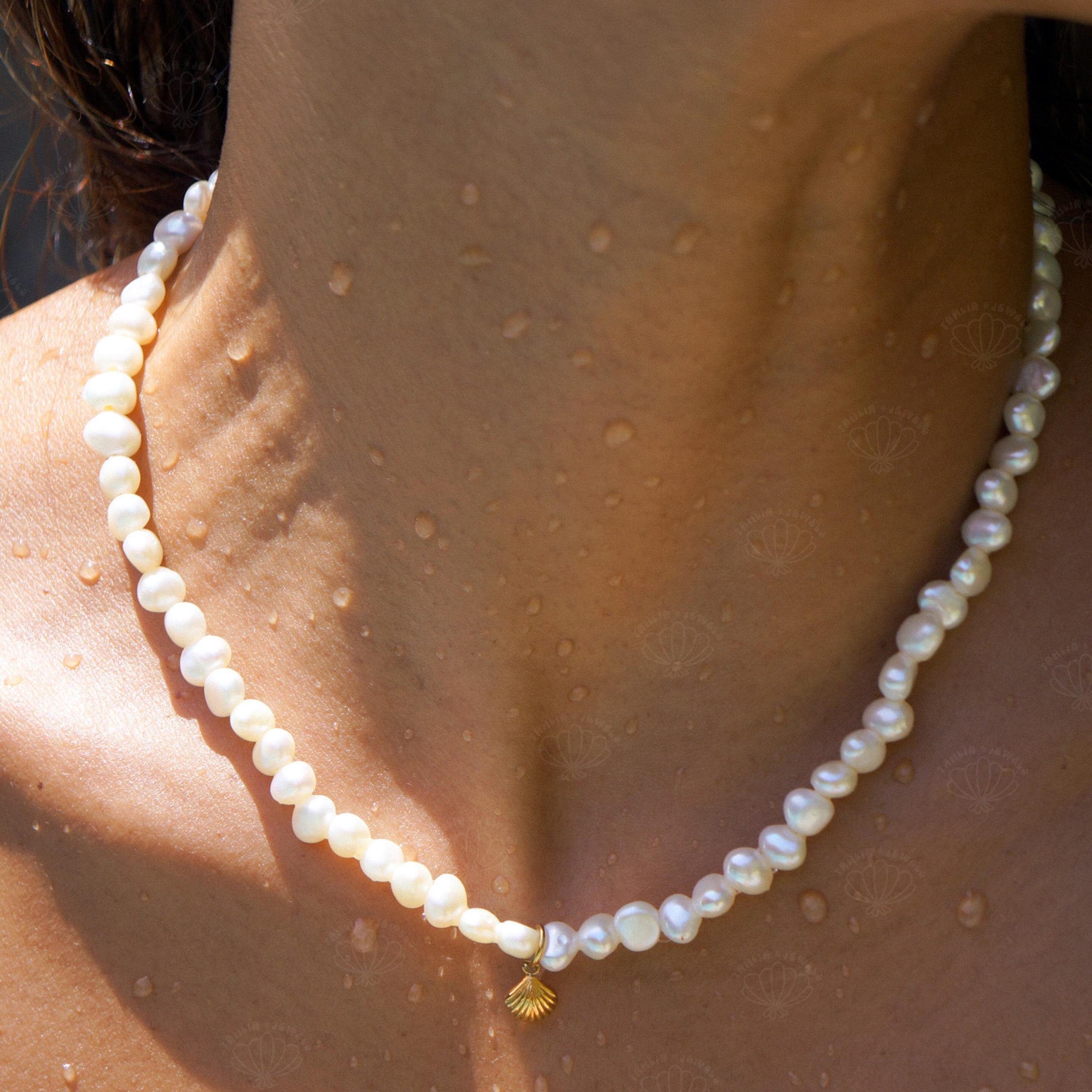 Dainty Shell Necklace