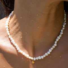 Dainty Shell Necklace, detail view