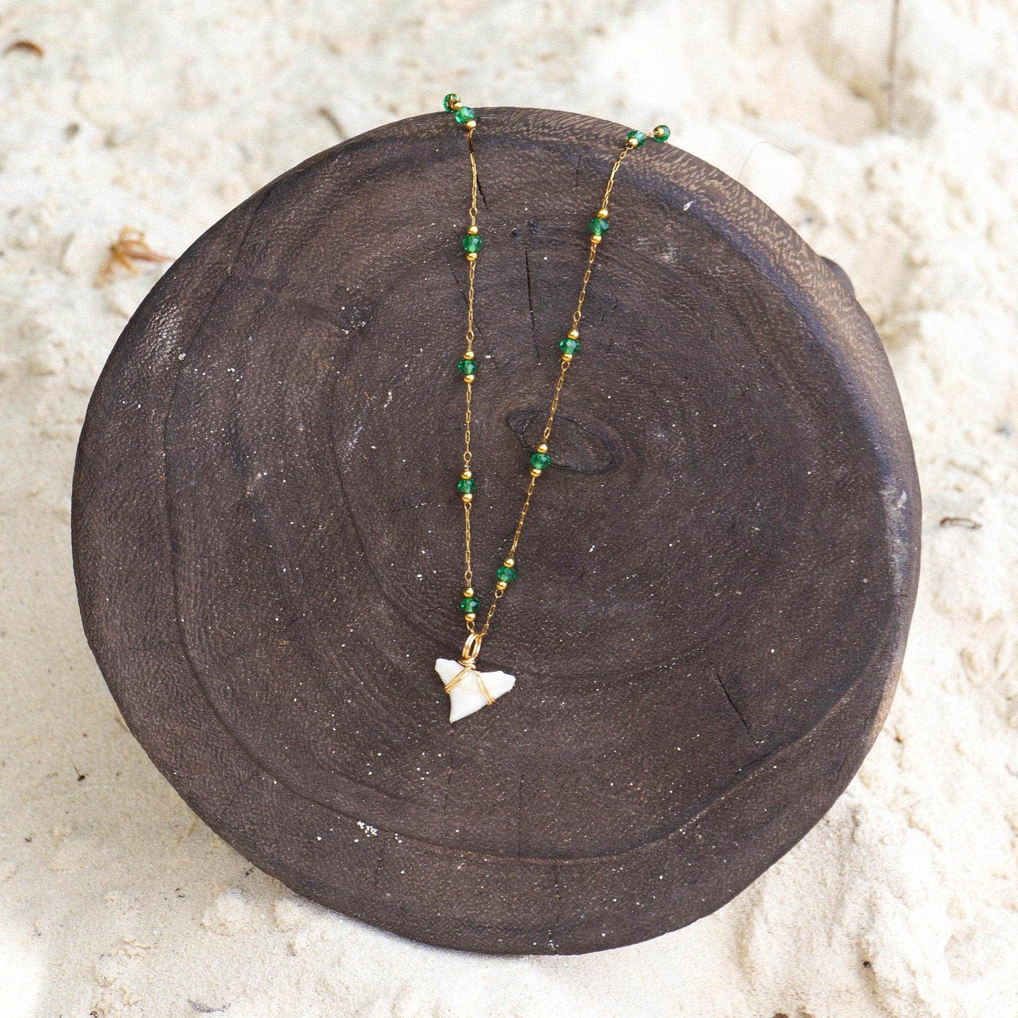 Natural Tiger Shark Teeth Necklace