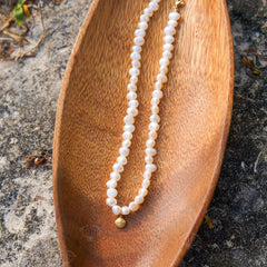 Dainty Shell Necklace, worn view