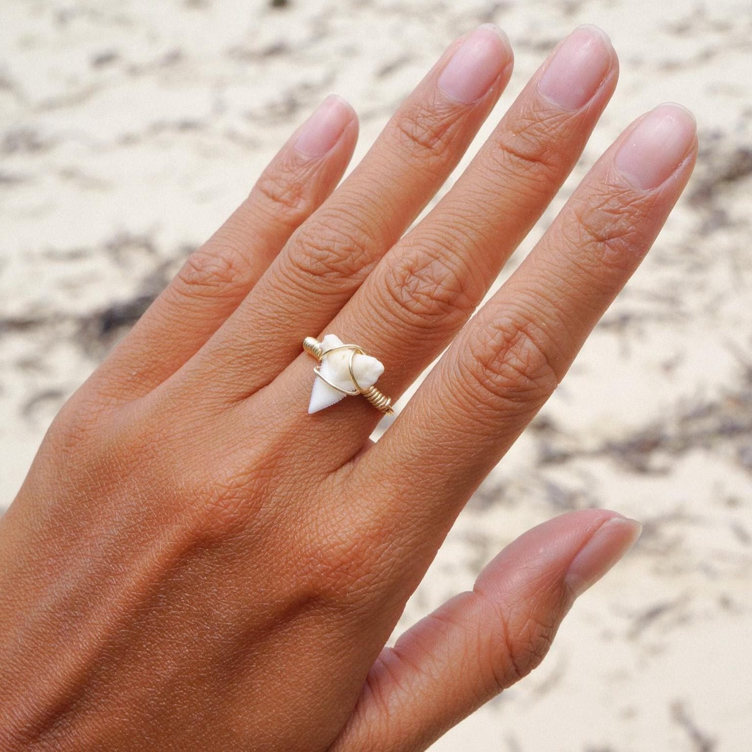 Natural Tiger Shark Teeth Ring
