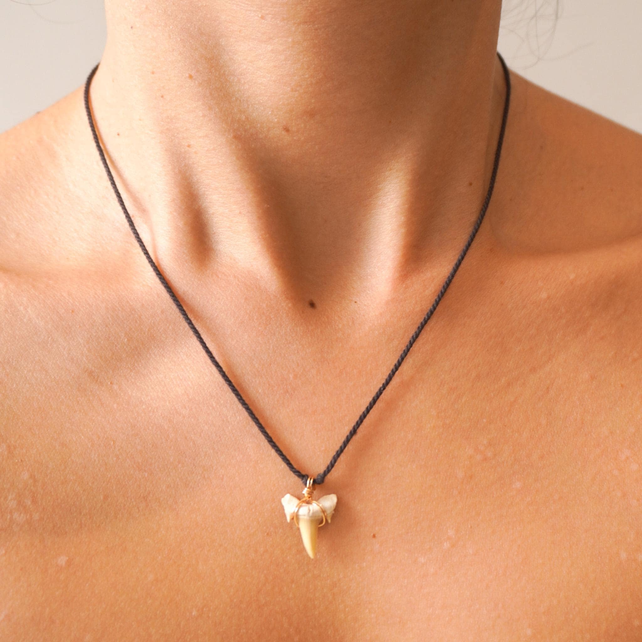 Morocco Shark Tooth Fossil Necklace