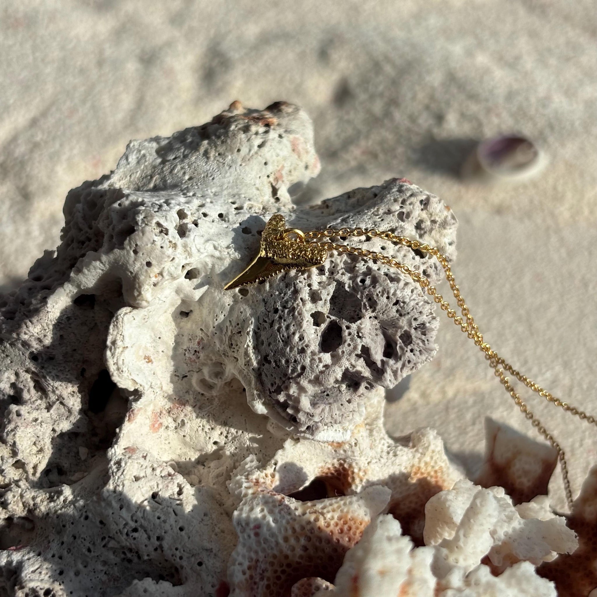 Gold Vermeil Shark Tooth Necklace, Sterling Silver Chain