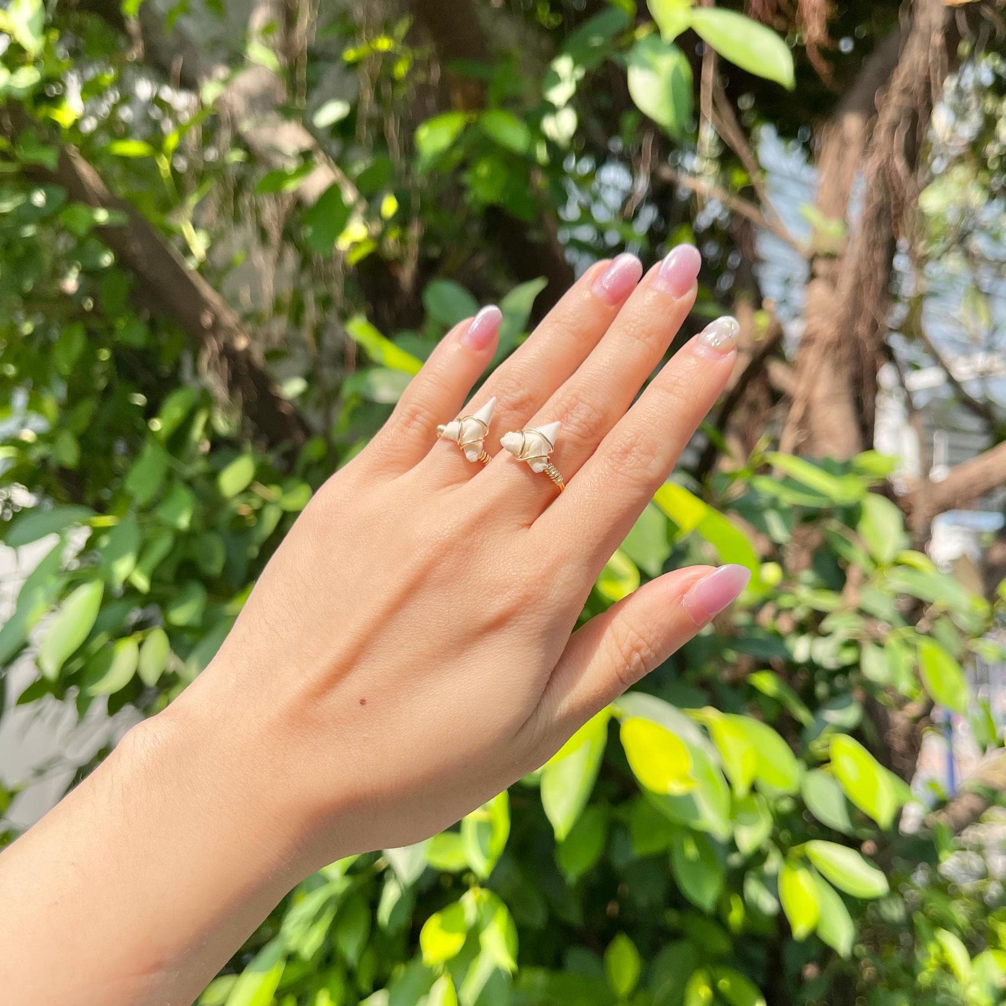Natural Tiger Shark Teeth Ring