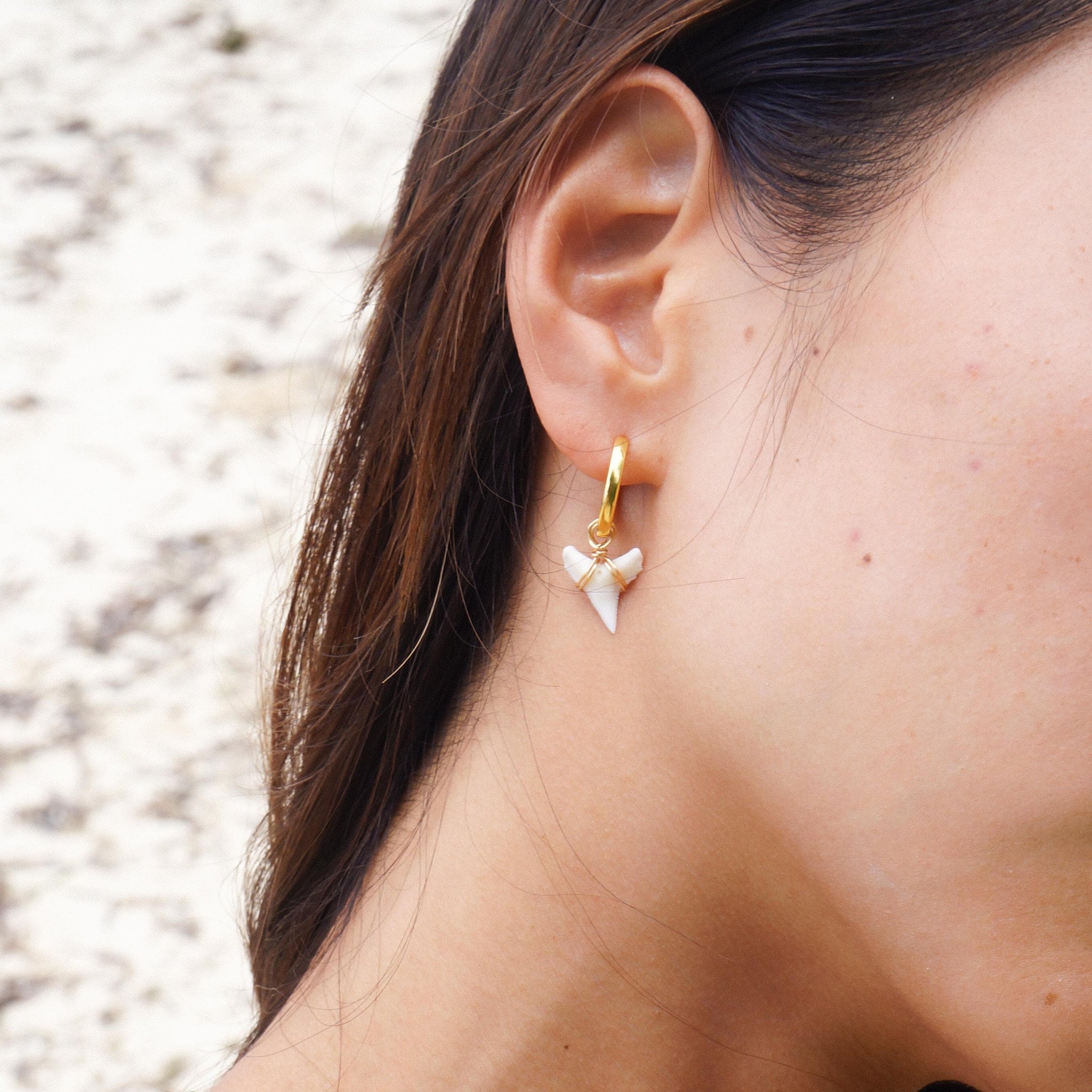 Natural Tiger Shark Teeth Earrings