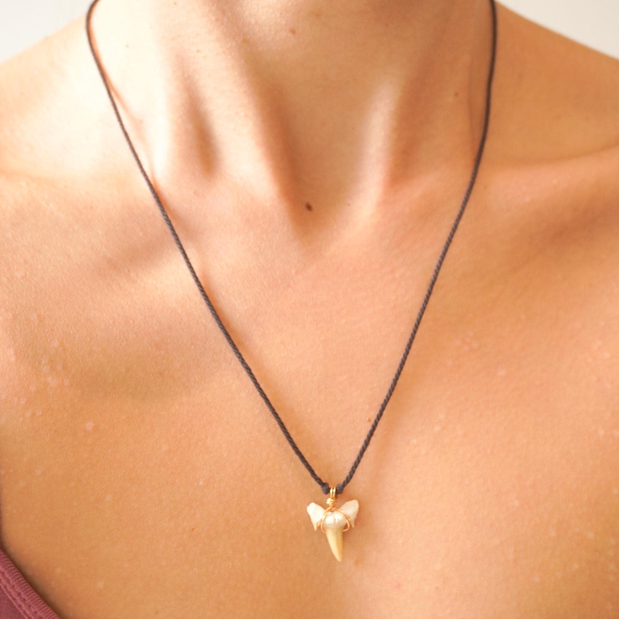 Morocco Shark Tooth Fossil Necklace