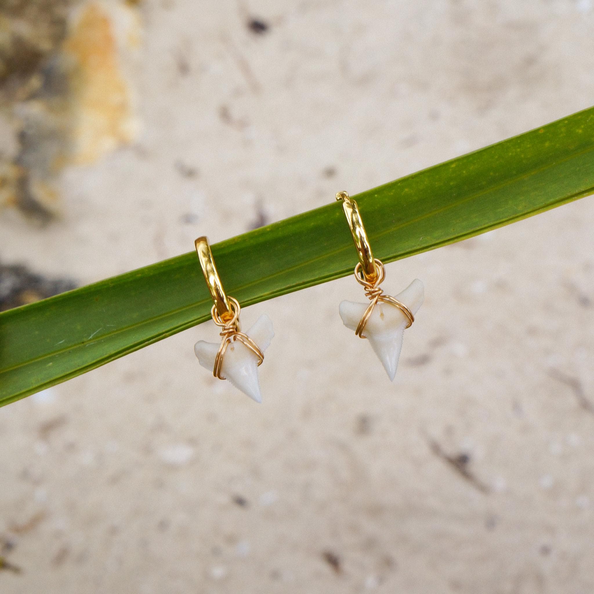 Natural Tiger Shark Teeth Earrings