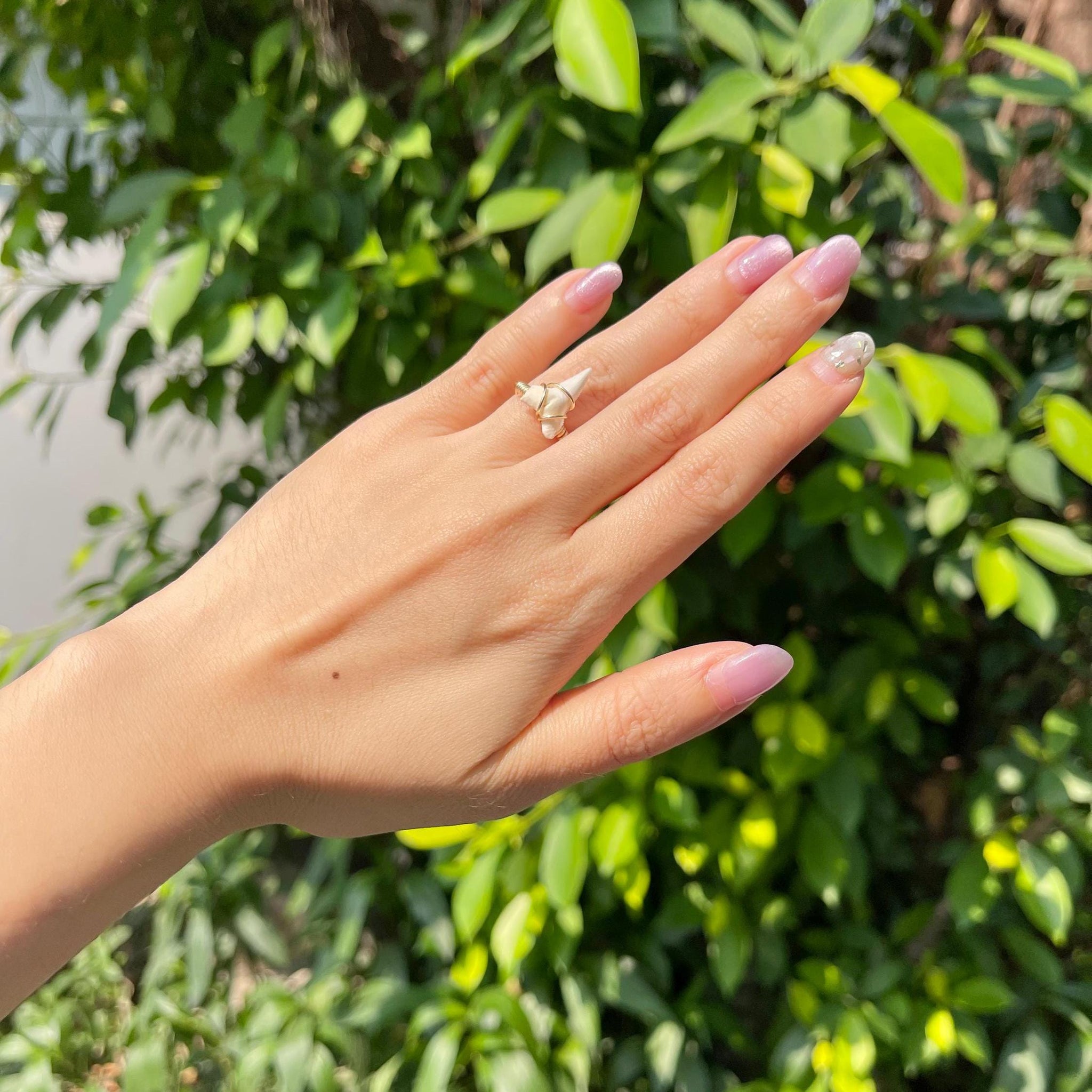 Natural Tiger Shark Teeth Ring