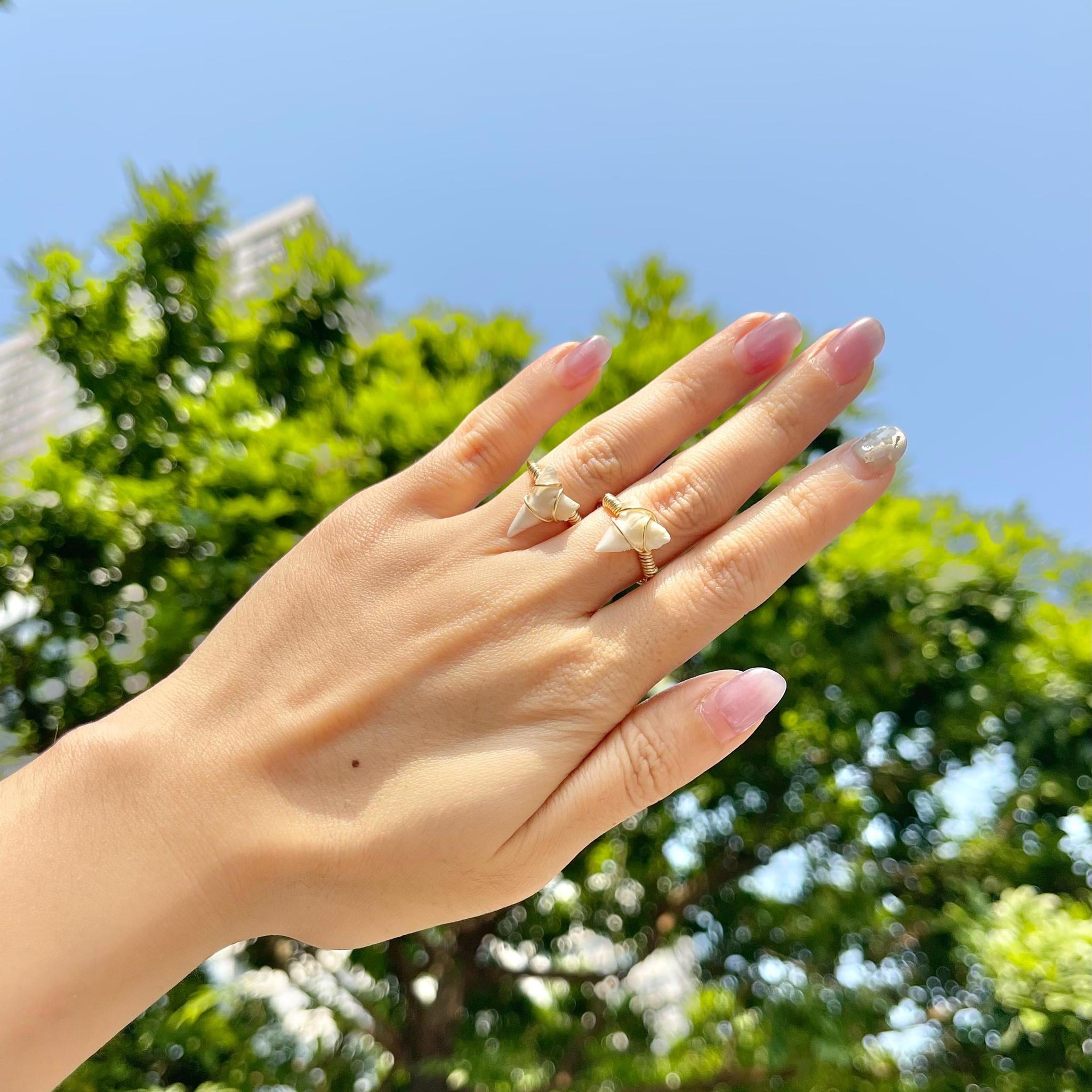 Natural Tiger Shark Teeth Ring