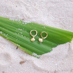 Alona Seashell Huggies in 18k gold vermeil and 925 sterling silver - close-up detail view